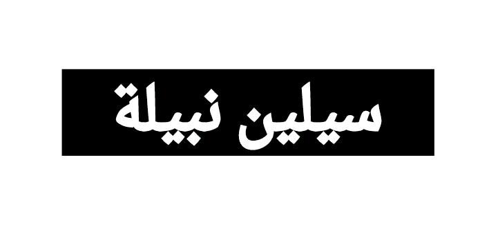 selinnabila's profile banner image