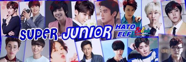 ELF_Bolivia Profile Banner