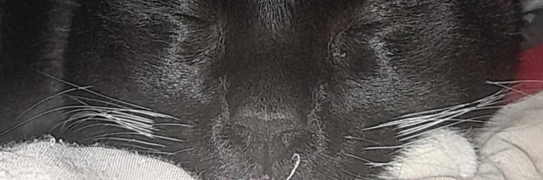 abrilpuen7's profile banner image