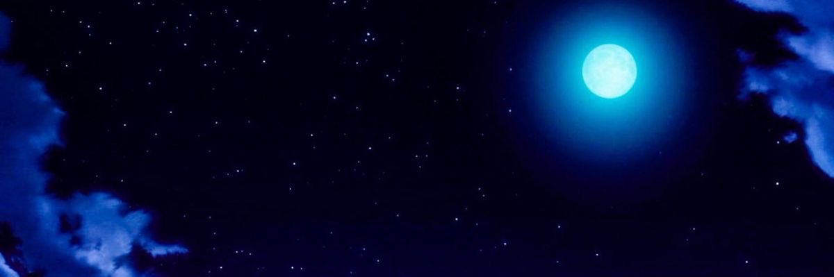 Haruhoki's profile banner image