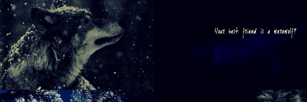 KnowledgeGuard1's profile banner image