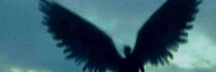 surelynotasaint's profile banner image