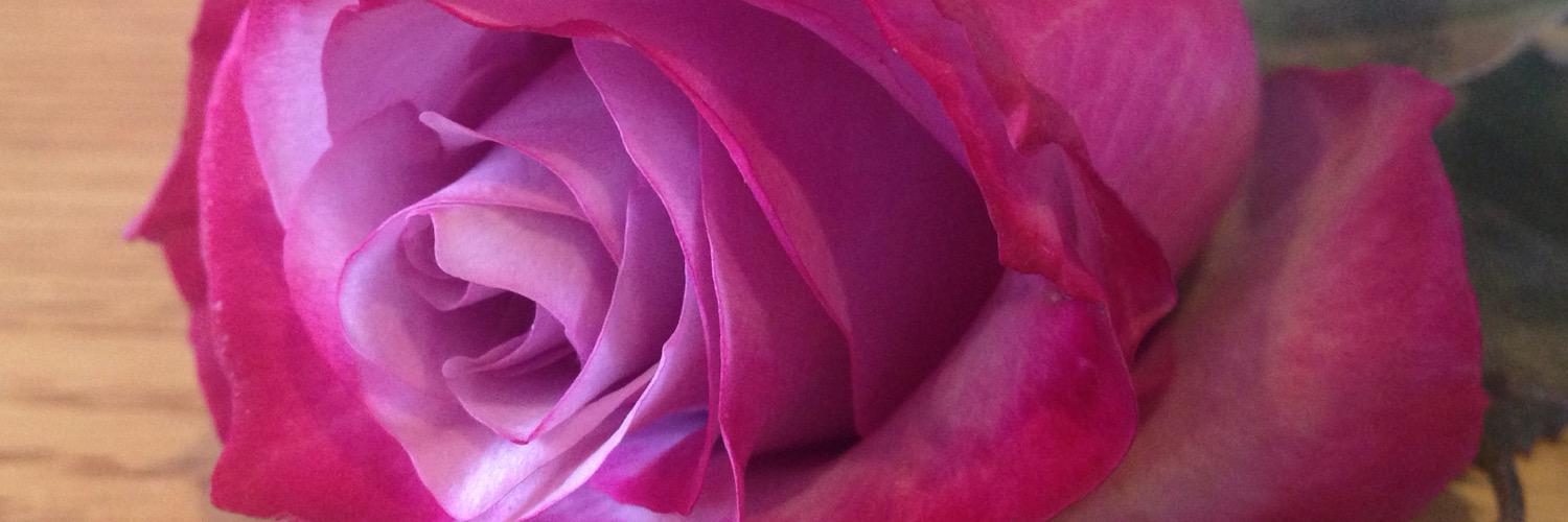 sass_a_frASH_'s profile banner image