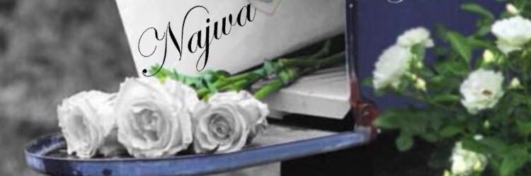 JoyNLady's profile banner image