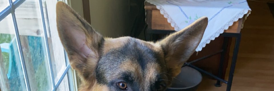 psmalls_'s profile banner image