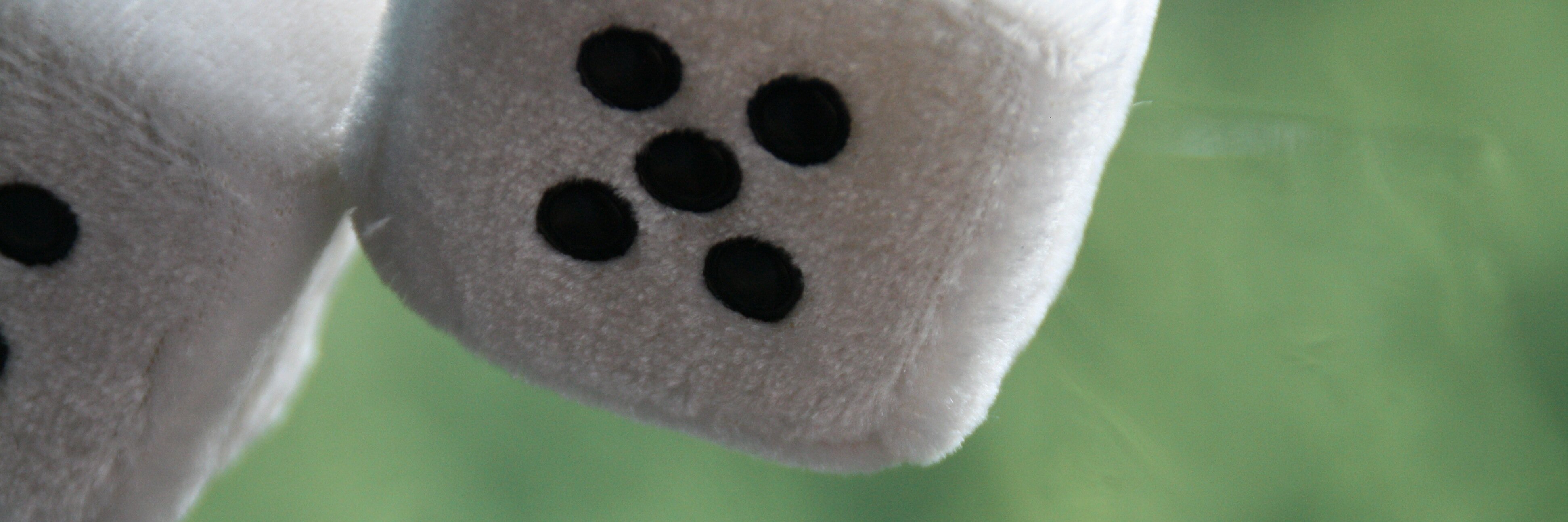Elinevbeek's profile banner image