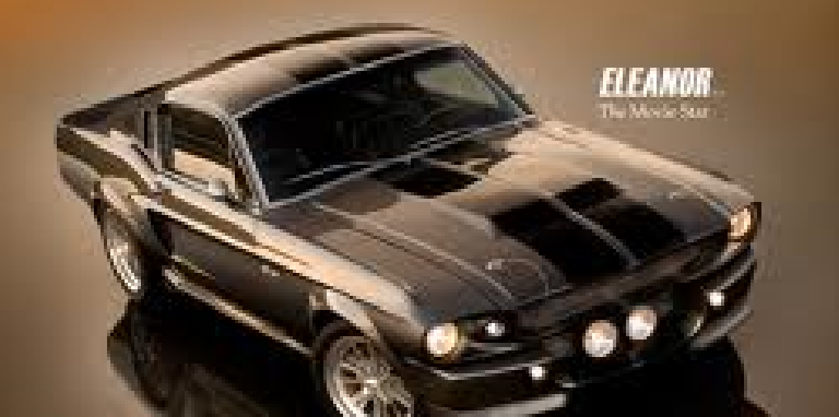 max_thomson13's profile banner image