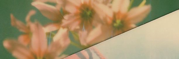 ✩ banner
