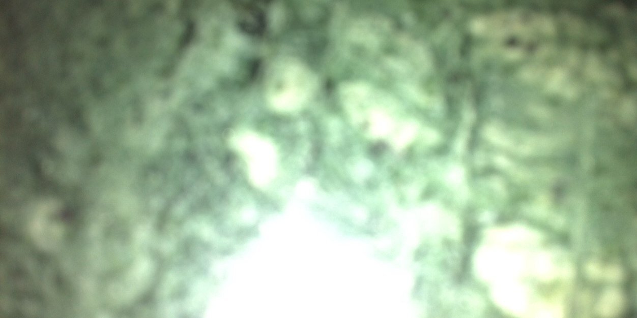 فوضت امري الى الله🇸🇦 banner