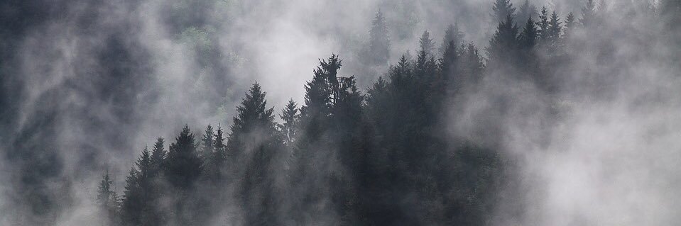 emerricka's profile banner image