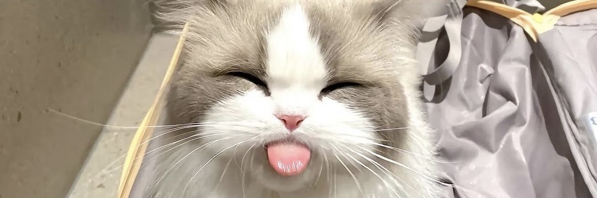 ngabblu's profile banner image