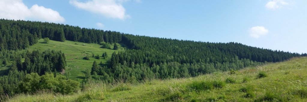 Benno -Slava Ukraini-🧬-#ElkedagPesticideVrij🎗 banner