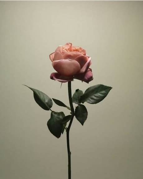 _syaidaaa's profile banner image