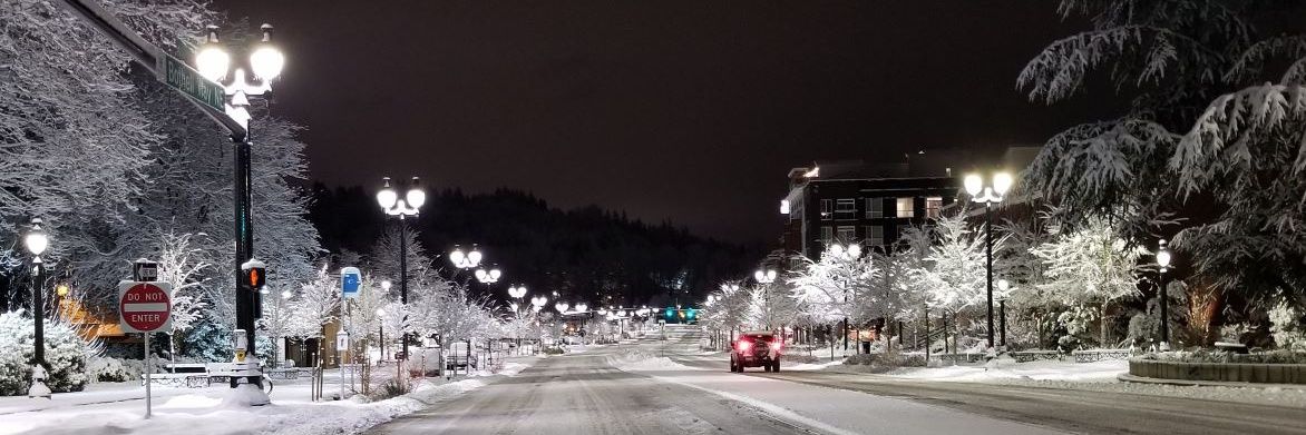 The Bothell Blog banner