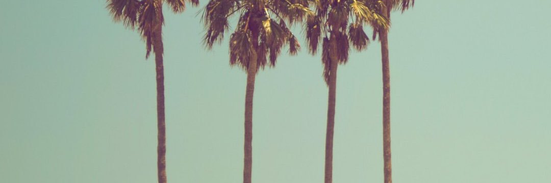 yummy banner