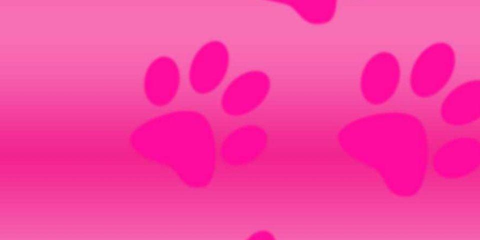 HeatherWhitak16's profile banner image