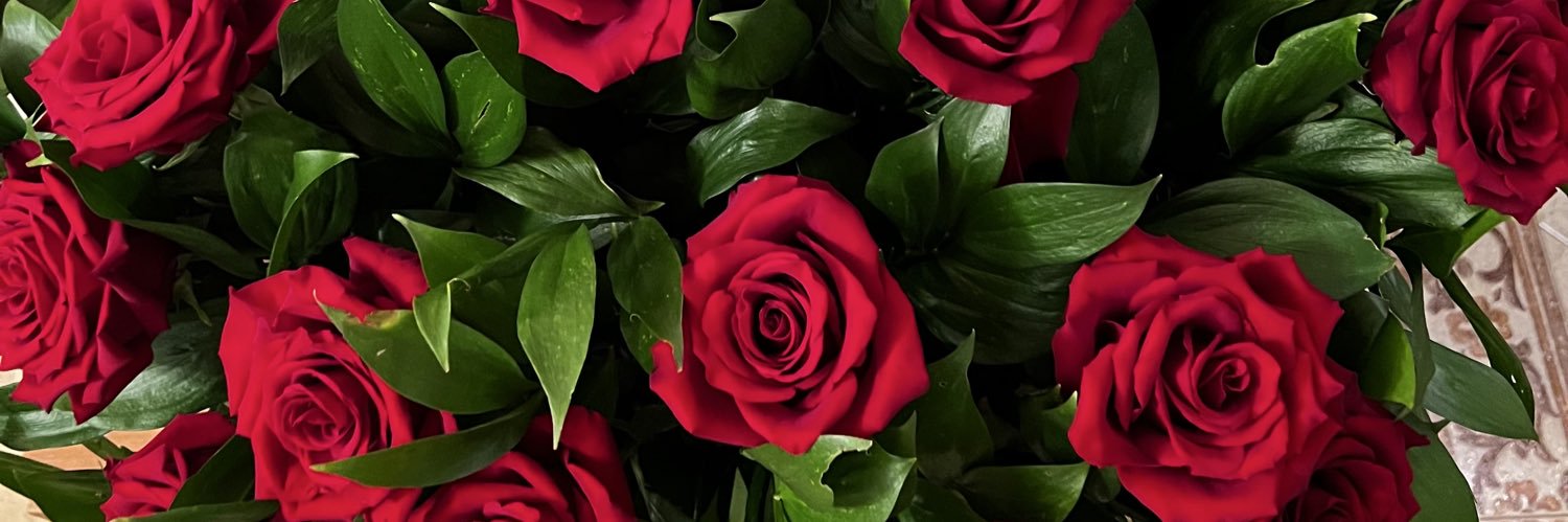narmin__s's profile banner image