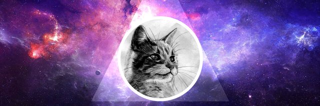 No Limits banner