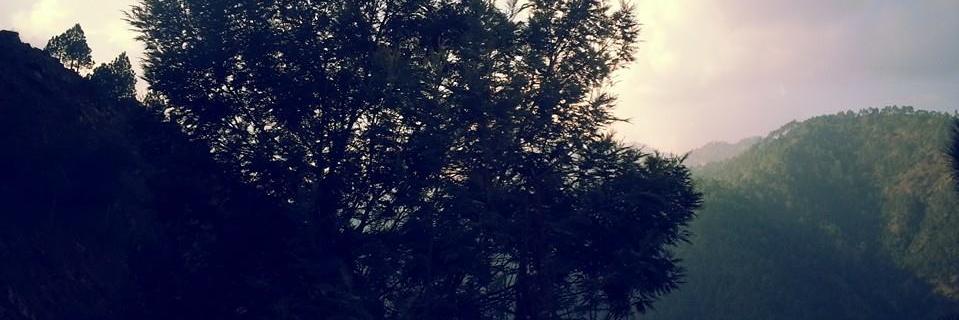 AviNegi07's profile banner image