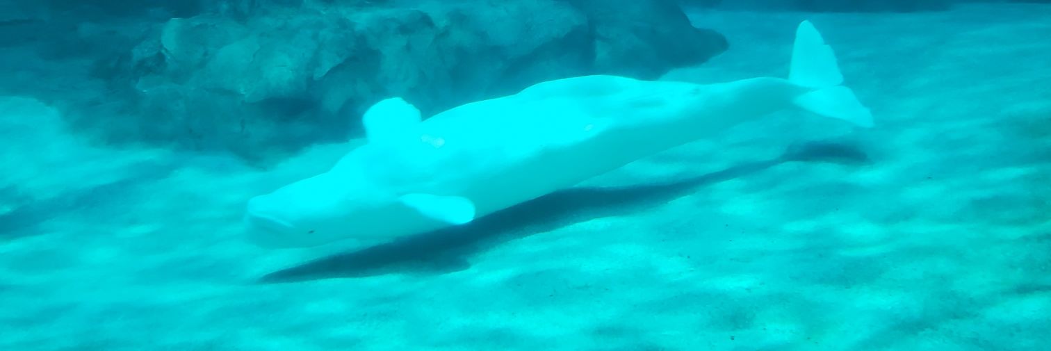 りるあ❤️‍🔥諸々断捨離してアプデ‼️💪 banner