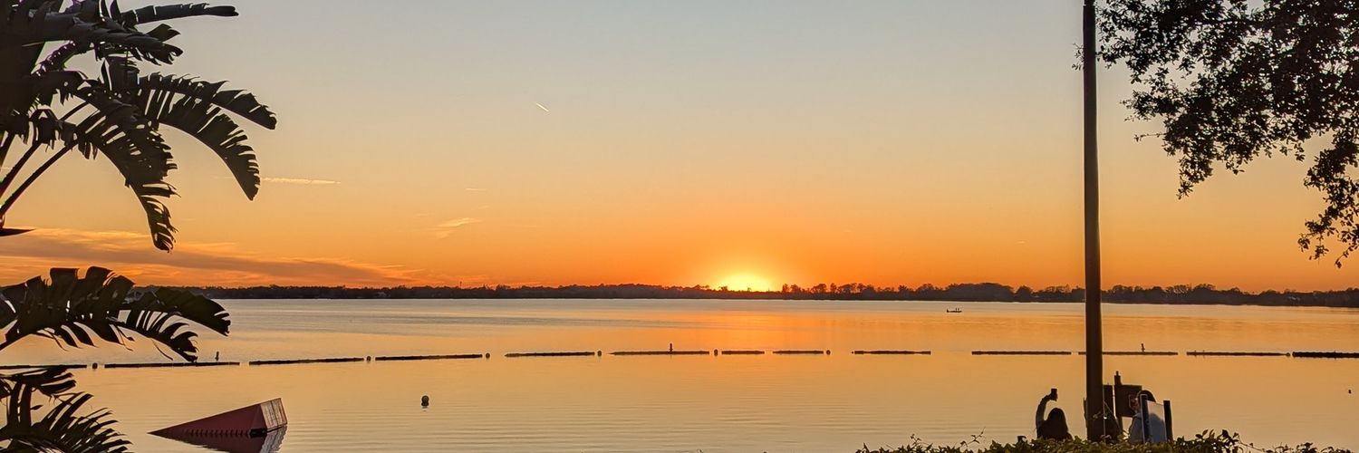 STEP🐊🫳🫴 banner