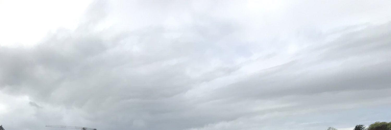 ImariNed's profile banner image