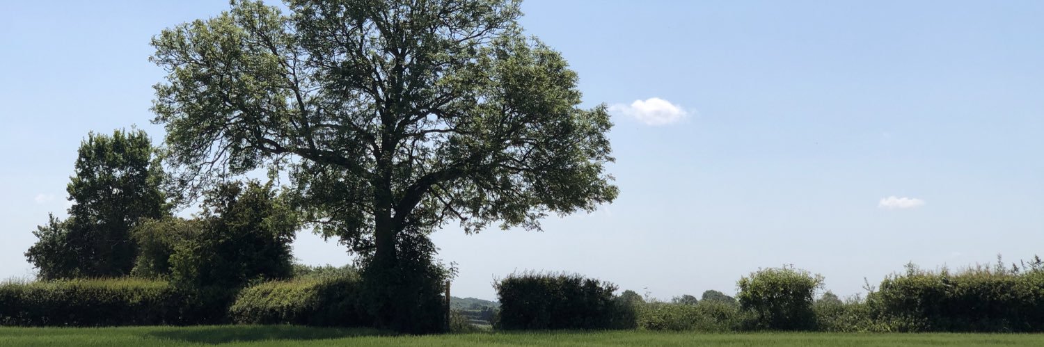 Jamie Pringle banner