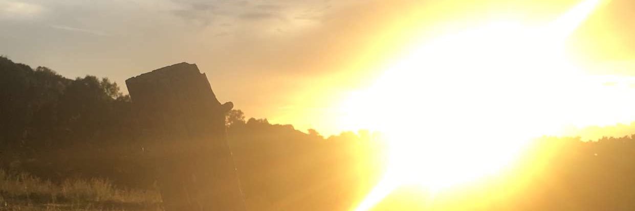 kb8333's profile banner image