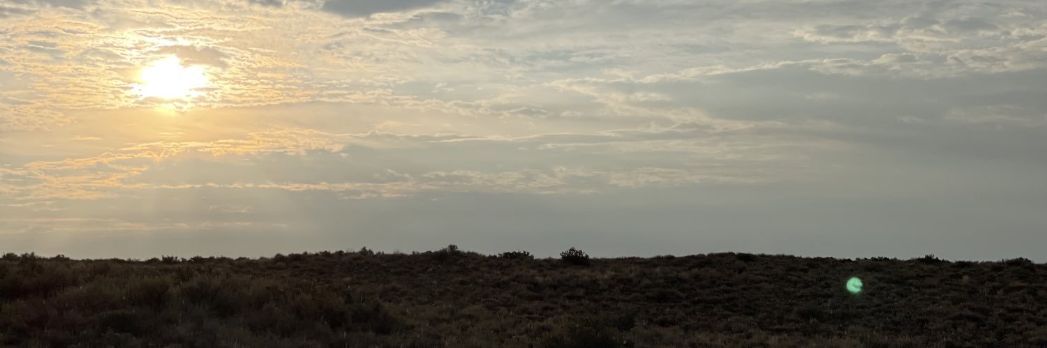 rileycomstock4's profile banner image