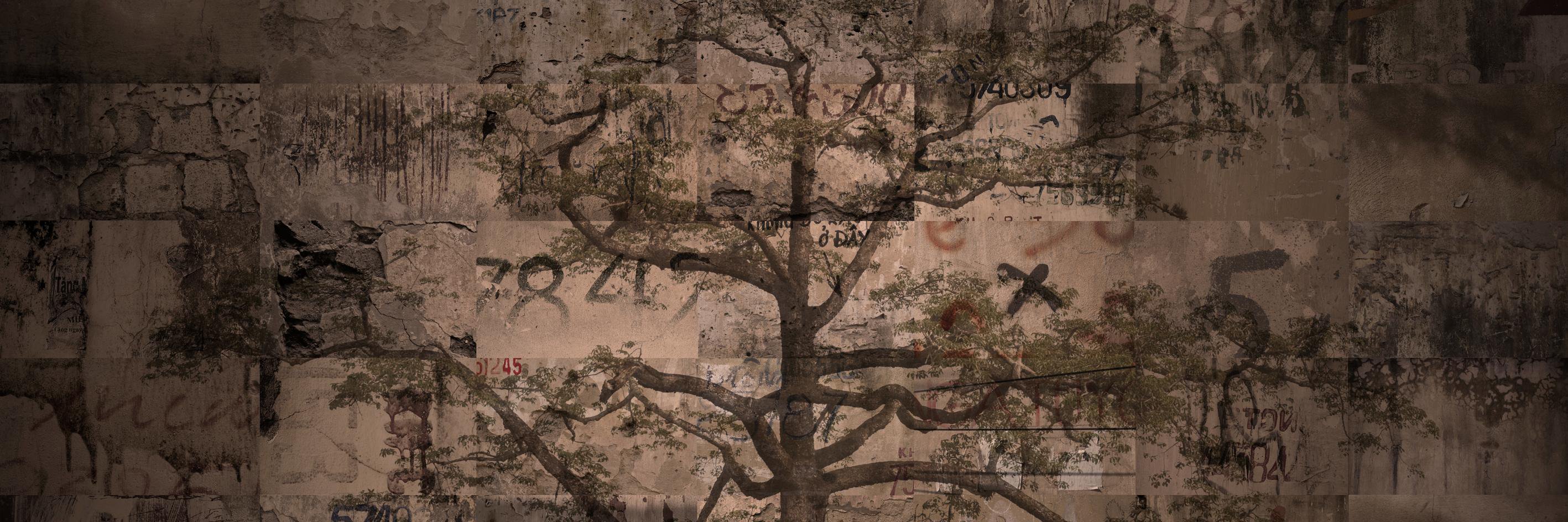 matthewdakin's profile banner image