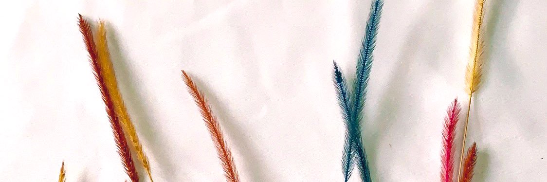 kaitookkaidee's profile banner image
