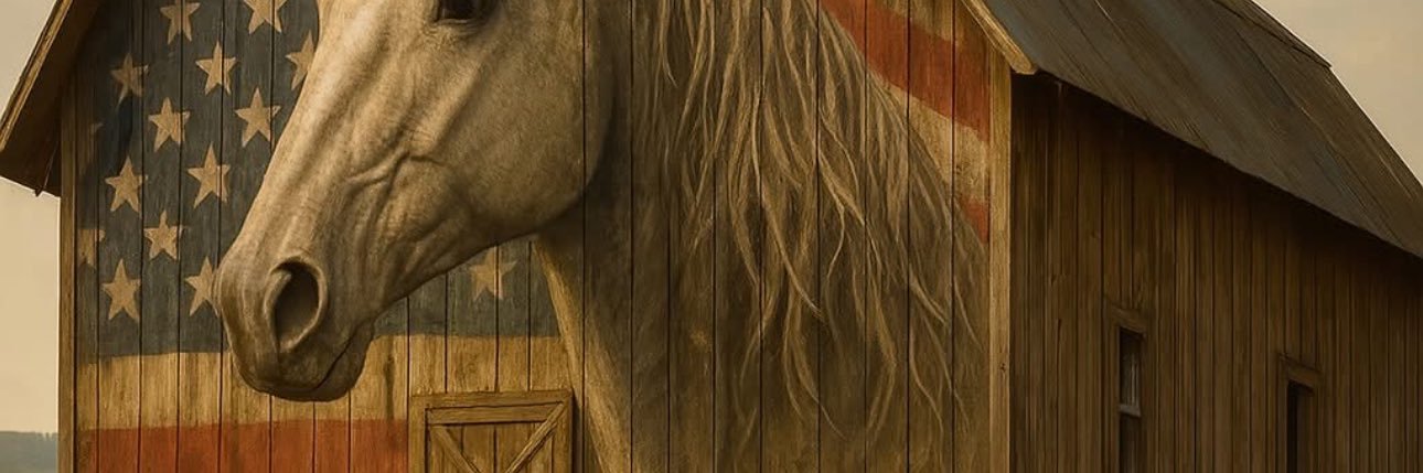 webslgr's profile banner image