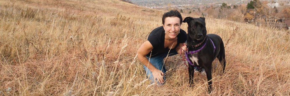 Sharon Steinmann banner