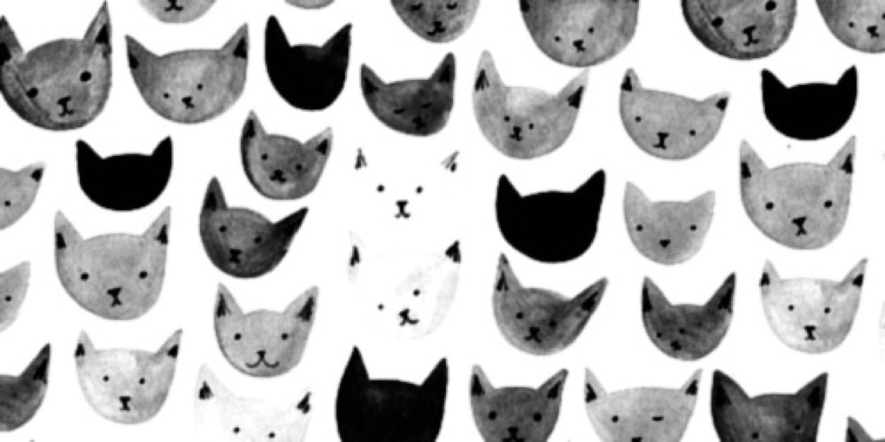 LindsayE_SC's profile banner image