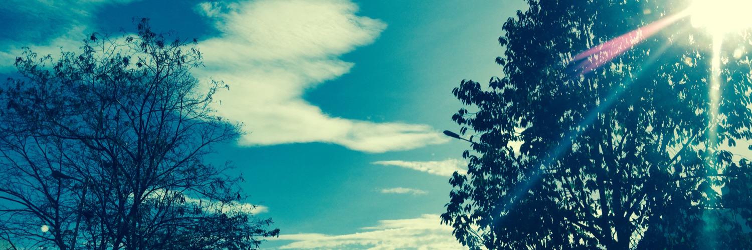 tamidilo's profile banner image