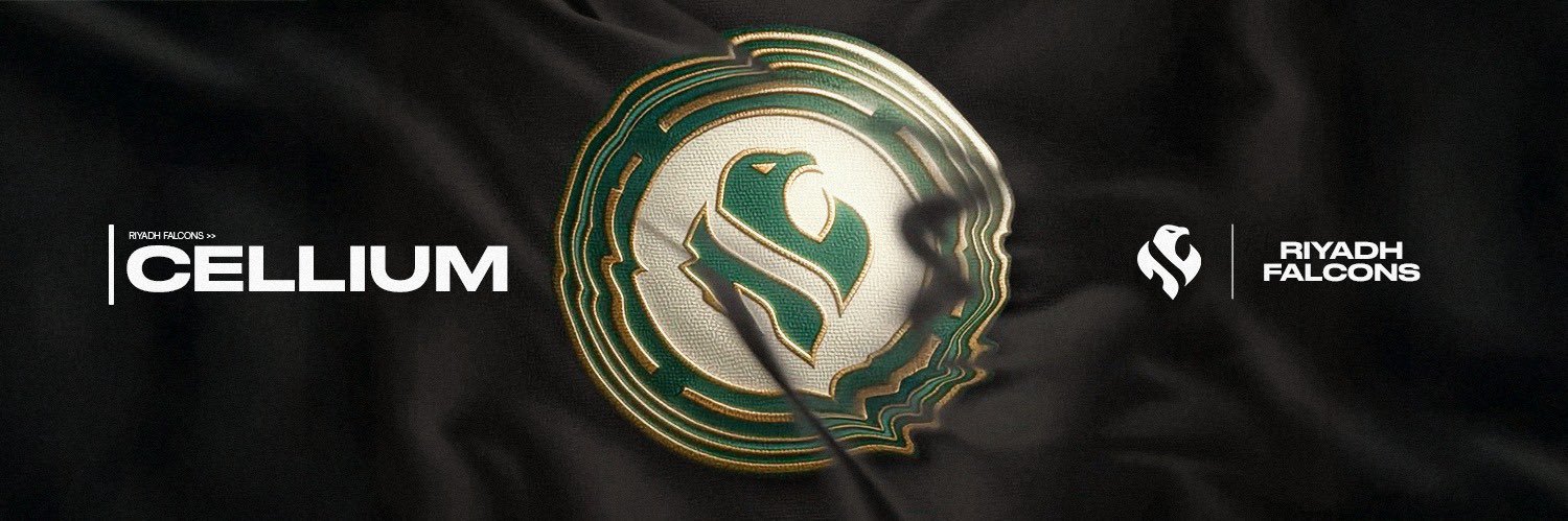 Falcons Cellium banner