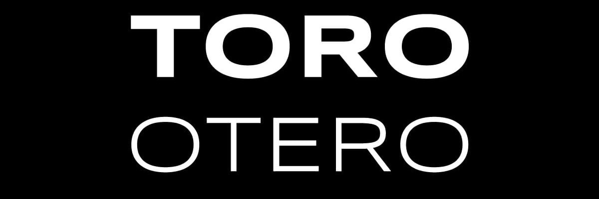 Toro Otero banner