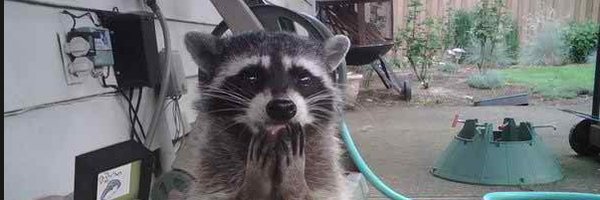 cyprienviet Profile Banner