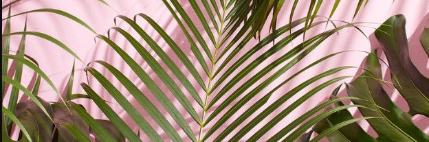 Life_1228's profile banner image