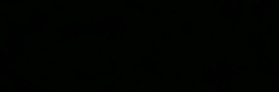 Demarcus nelson jr banner
