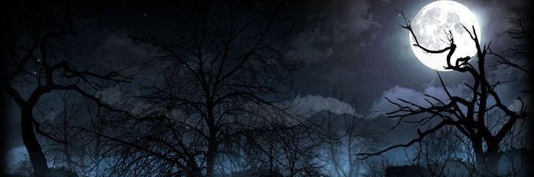 xolys_'s profile banner image