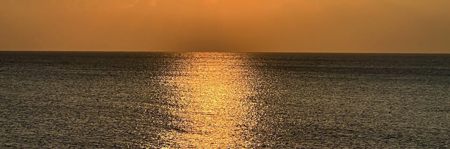 mediislander's profile banner image