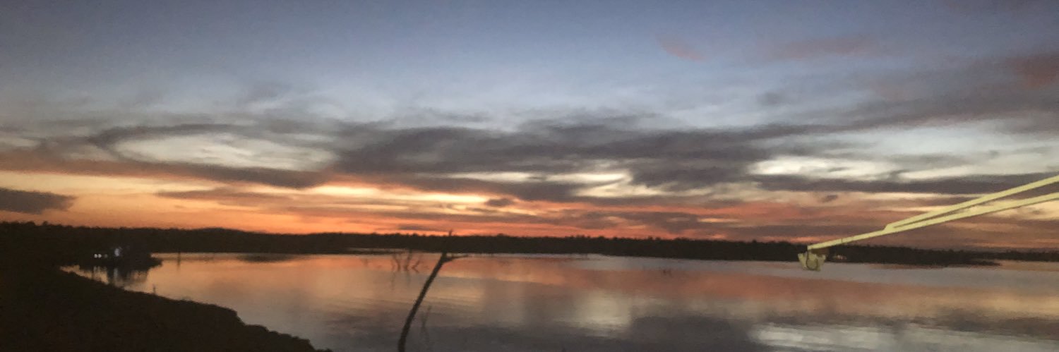 Gamuchirai Masiyiwa banner