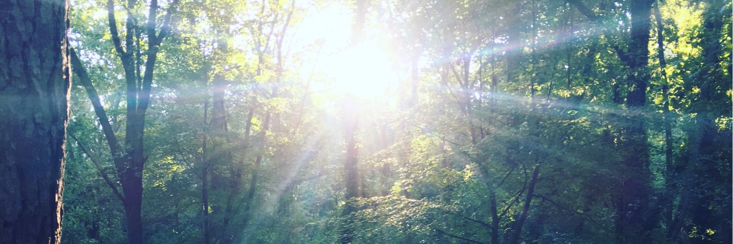 Jessica_Barcelo's profile banner image