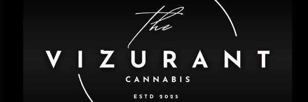 vizurantvis Profile Banner