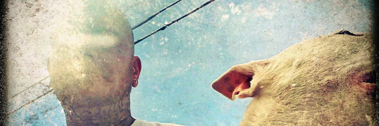 extremehatred's profile banner image
