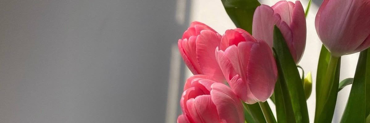 ZeaDayana's profile banner image
