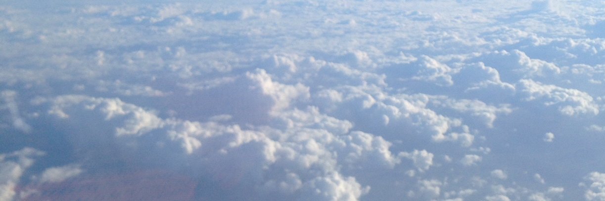 Tim Scratcherd banner