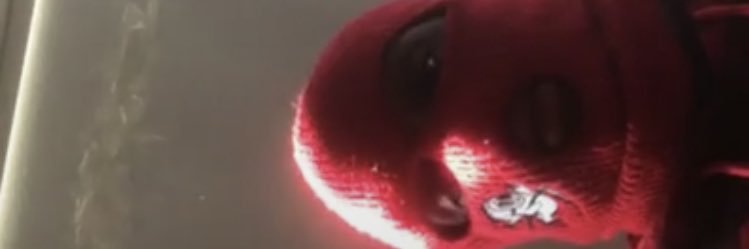 GautierCyr's profile banner image