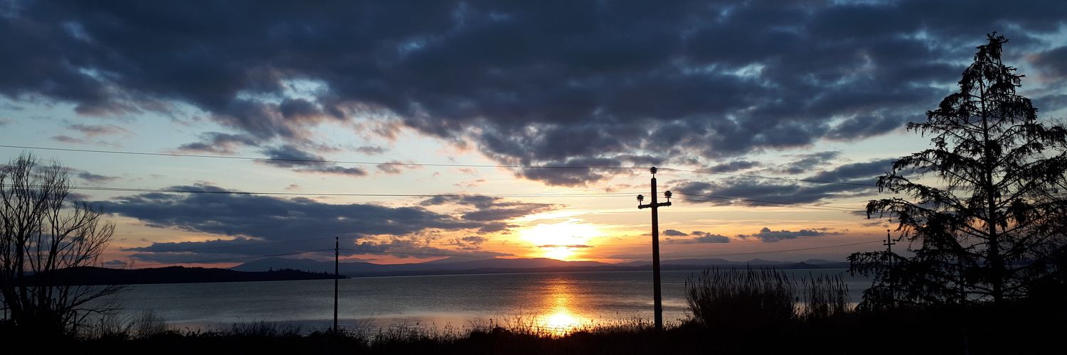 antocecca's profile banner image